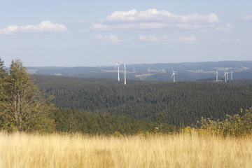 Fototapeta na wymiar Windräder in einer WAldlandschaft