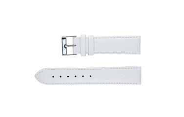 The watchstrap isolated