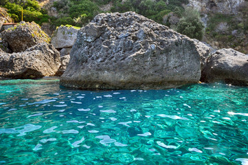 Palmi Reggio Calabria - Costa