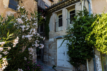 Fototapeta na wymiar low angle view of beautiful traditional architecture and green plants with blooming flowers in provence, france