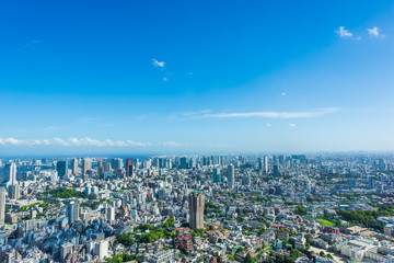 夏の東京風景 Tokyo city skyline , Japan