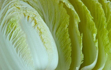 Fototapeta premium Chinese cabbage with full frame.