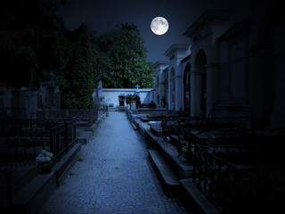 Abandoned cemetery in moonlight. Blooming chestnuts, big tombs and full moon