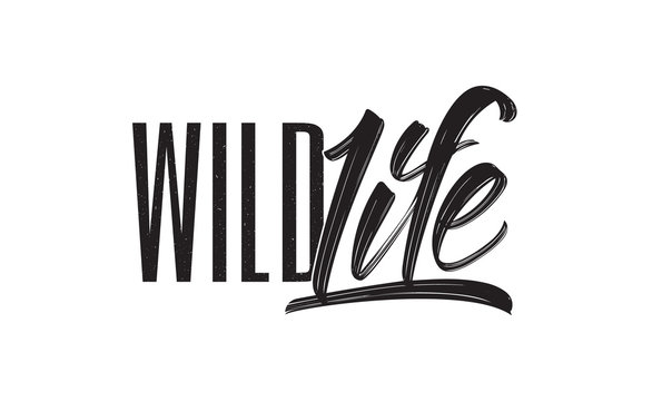 Vector illustration: Hand drawn brush type calligraphic lettering composition of Wild Life on white background.