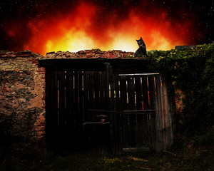 The burning ruin of the old house. A broken wall with wooden doors. A cat is sitting at the gate.