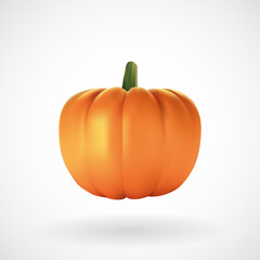 Realistic pumpkin with white background, vector, illustration, eps file