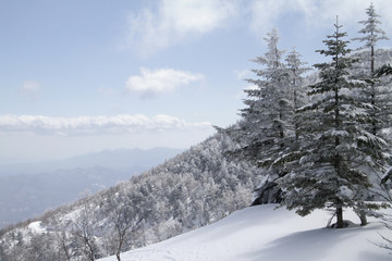 Winter wonderland in the snowy mountains near Kusatsu Onsen, Japan