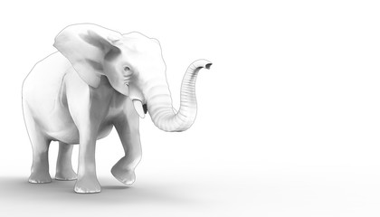 Elephant Drawing and Sketch on isolate background  / Illustration Art Concept 