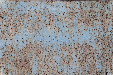 Painted rusty sheet