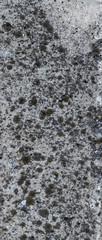 Concrete wall
