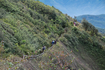 Chiangmai,Thailand-December 26,2017, Kew Mae Pan Nature Trail, Chiangmai, Thailand.