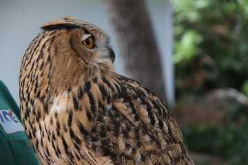 Madrid zoo