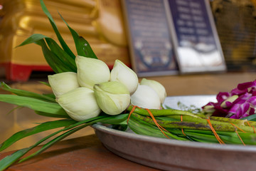 lotus for Buddhist religious ceremony