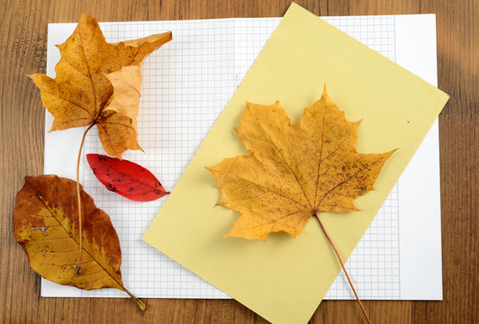 tinker autumn decoration of maple leaves
