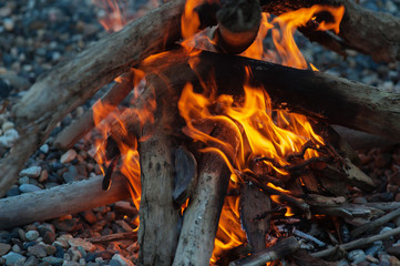 On small stones, a fire from a firewood burns beautifully!