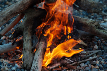 On small stones, a fire from a firewood burns beautifully!