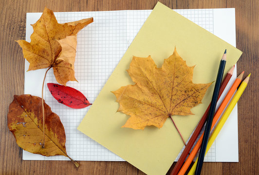 tinker autumn decoration of maple leaves