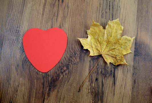 love autumn dectoration with paper heart and maple leave on wooden background