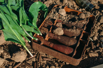 broken bottle and rusty used cartridges from weapons