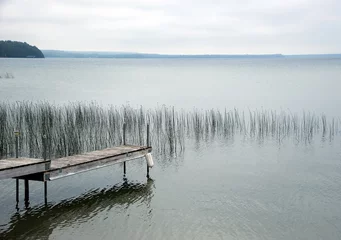 Photo sur Plexiglas Jetée Reeds in the lake in summer with a old wooden pier