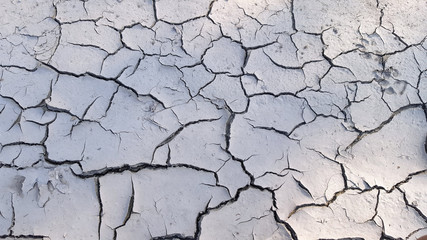 Fototapeta premium crack soil texture background