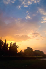 Fototapeta premium Beautiful orange clouds in the sky during sunset. Trees are visible on the horizon