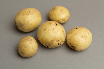 Variable potato on gray background, template