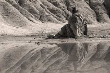 young woman in ethnic attire sits with a jug on the shore of a lake in a deserted valley
