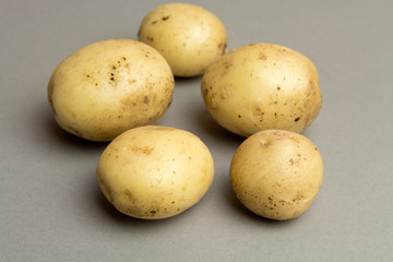 Variable potato on gray background, template