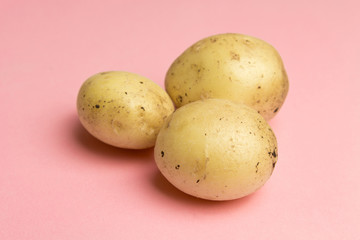 Fresh potatoes on pink background, pattern