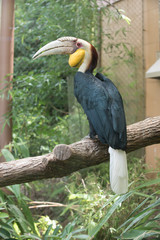 Animals of the Zoo - Birds