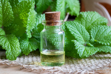 A bottle of melissa essential oil with melissa twigs