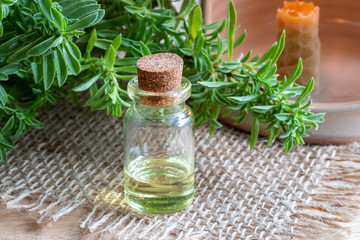 A bottle of mountain savory essential oil with fresh Satureja montana
