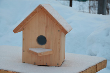 Obraz na płótnie Canvas bird feeder helping to survive the winter