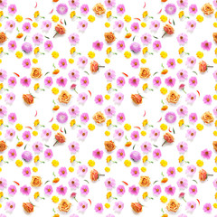Cosmos pink flowers seamless pattern isolated on white background, flat lay, top view. 