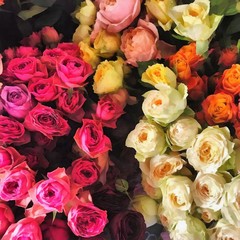 Acrylic painting on canvas art poster in floral motif. Modern style fashion artwork. Digital big size print in high resolution. Surreal flower in bright design. Wedding bouquet flowers. Roses.