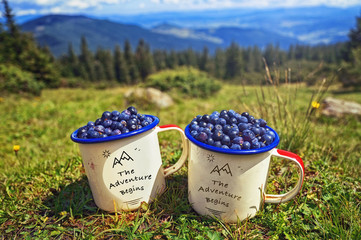 Hiking in the mountains ,summer vacation. Two cups of  blueberries on background of sunny mountains...