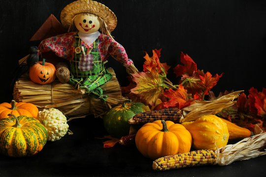 Halloween background with pumpkins Clawn on black background, selective focus