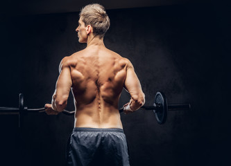 Back view of shirtless man with stylish hair and muscular ectomorph doing the exercises with the barbell.