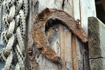 Horseshoe on the wooden board with a rope