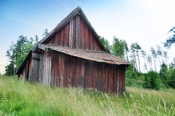 Obraz premium West Gotaland of Sweden - Old abandoed barn in the forest during summer.