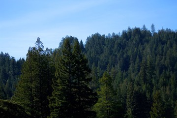Oregon 
