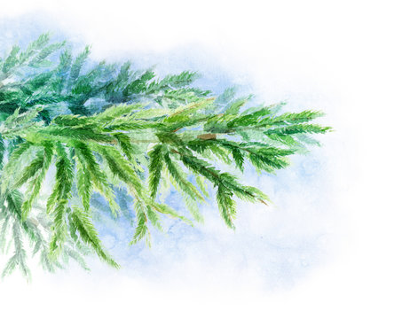 Forest branch of spruce. Watercolor illustration. Background template for design posters, wedding invitations, postcards and more