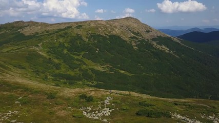 Group of young hikers in the Carpathians meadows drone footage