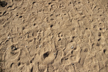 Spuren im Sand