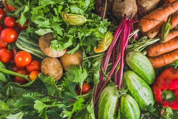 Foto auf Acrylglas Garden produce and harvested vegetable. Farm fresh organic vegetables background. © alicja neumiler