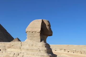 Fototapeta na wymiar Große Sphinx von Gizeh Nase