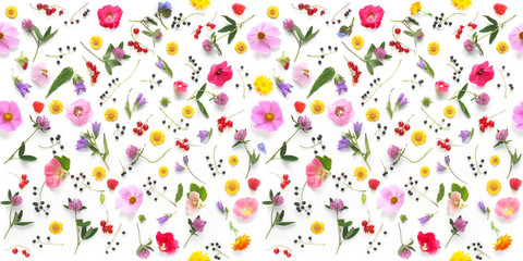 Flowers  flat lay. Seamless pattern from plants, wild flowers and  berries, isolated on white background, top view. 