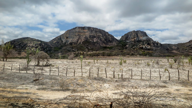 northeastern sert&atilde;o with mountains in the background, Milagres, Bahia, Brazil. Semiarid region, showing dry terrain with sparse caatinga vegetation and cacti