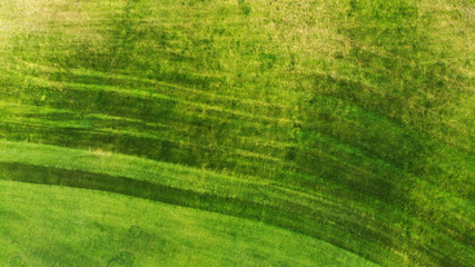 Aerial. Green grass texture background.